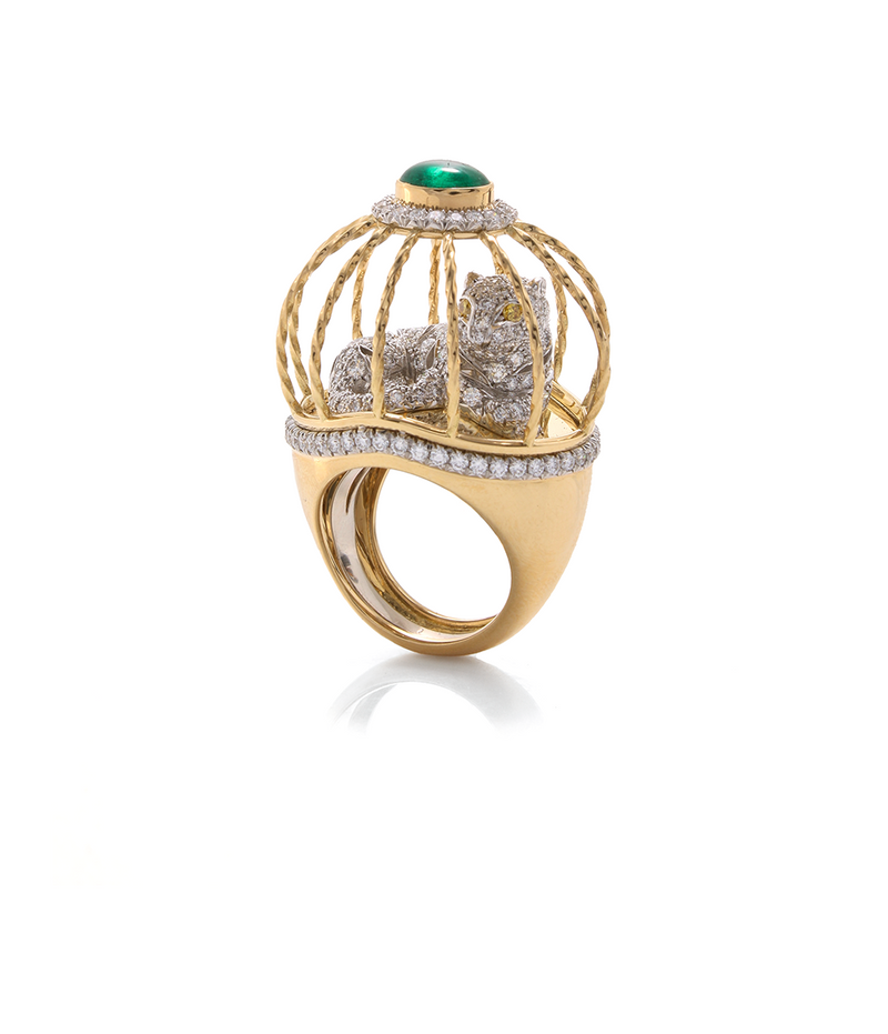 Cage Ring