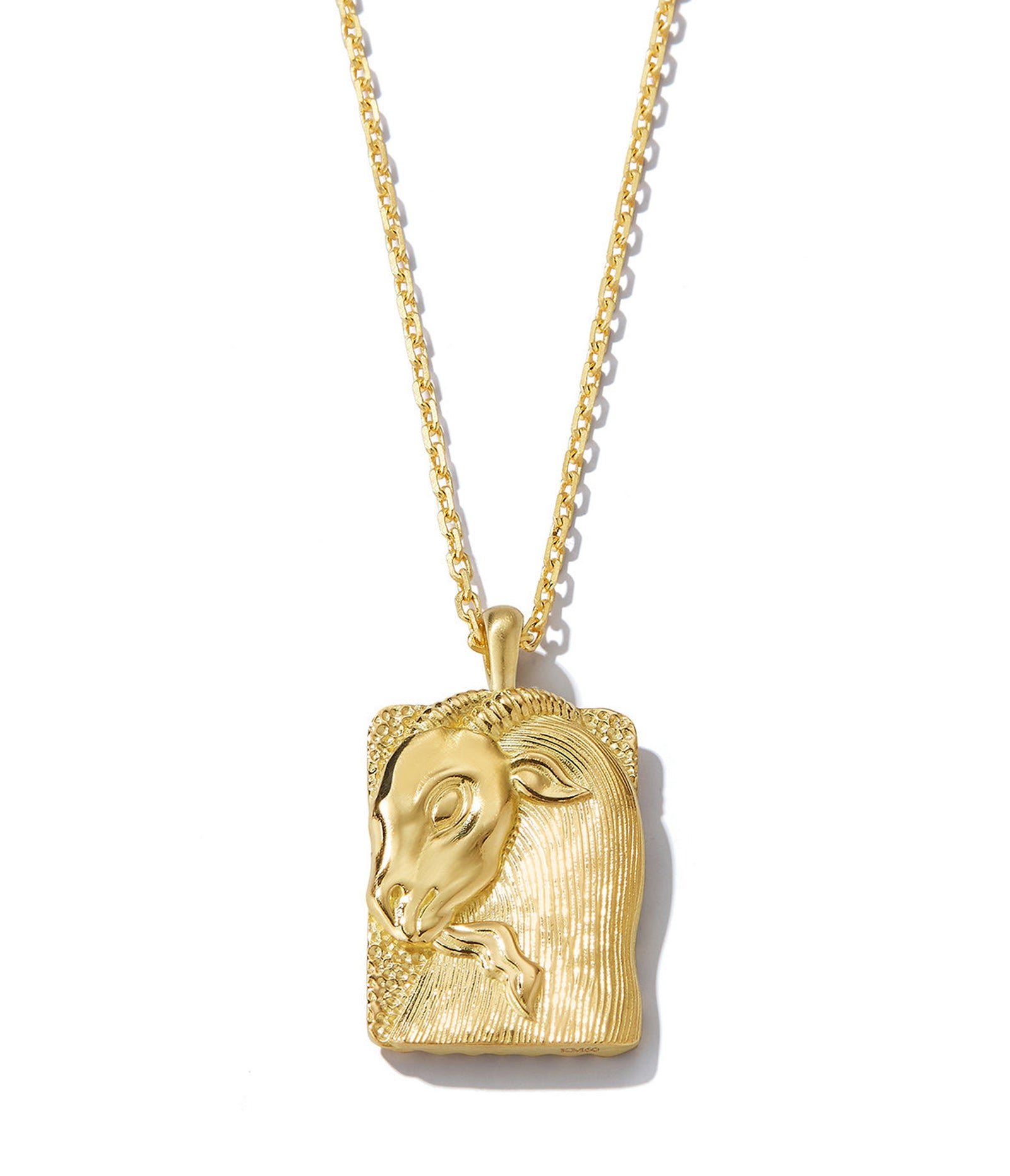 Capricorn pendant necklace top